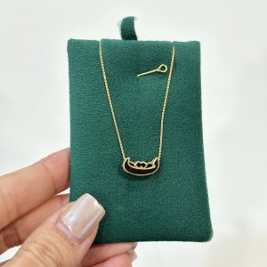 پلاک و زنجیر متصل حرف ت